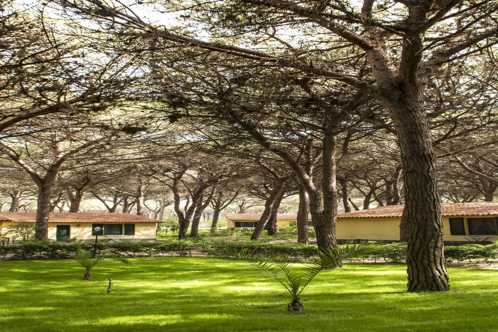 Horse Country Resort
